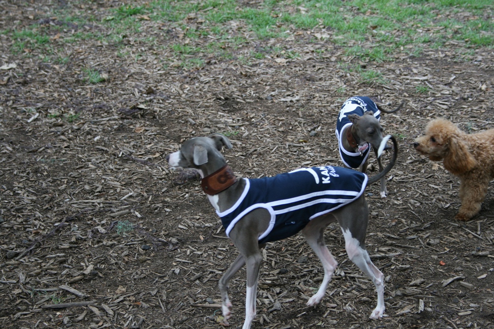 c0003217_14514840.jpg