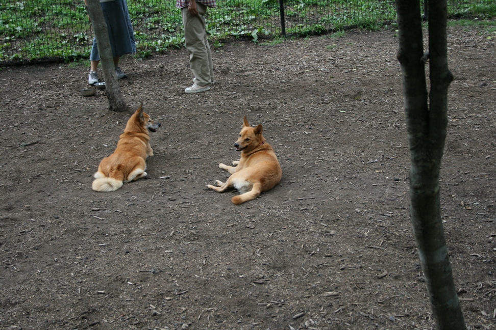 c0003217_14531858.jpg