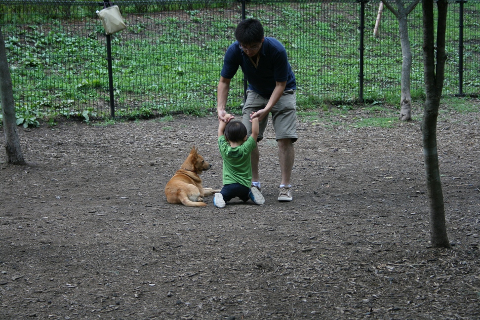 c0003217_1454532.jpg