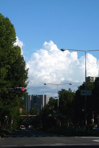 e0083517_6362224.jpg