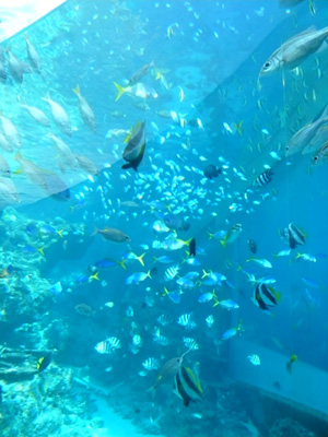 b0019820_6595125.jpg