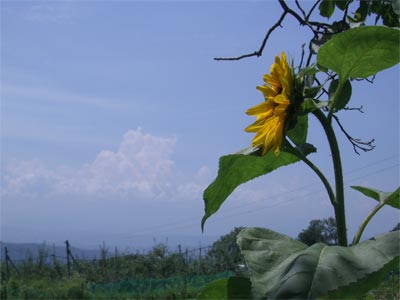 b0034422_22352698.jpg