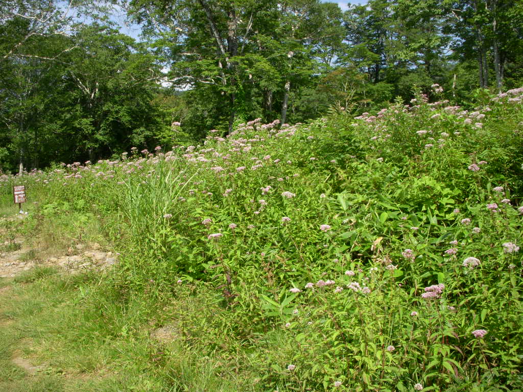 e0109622_20435413.jpg