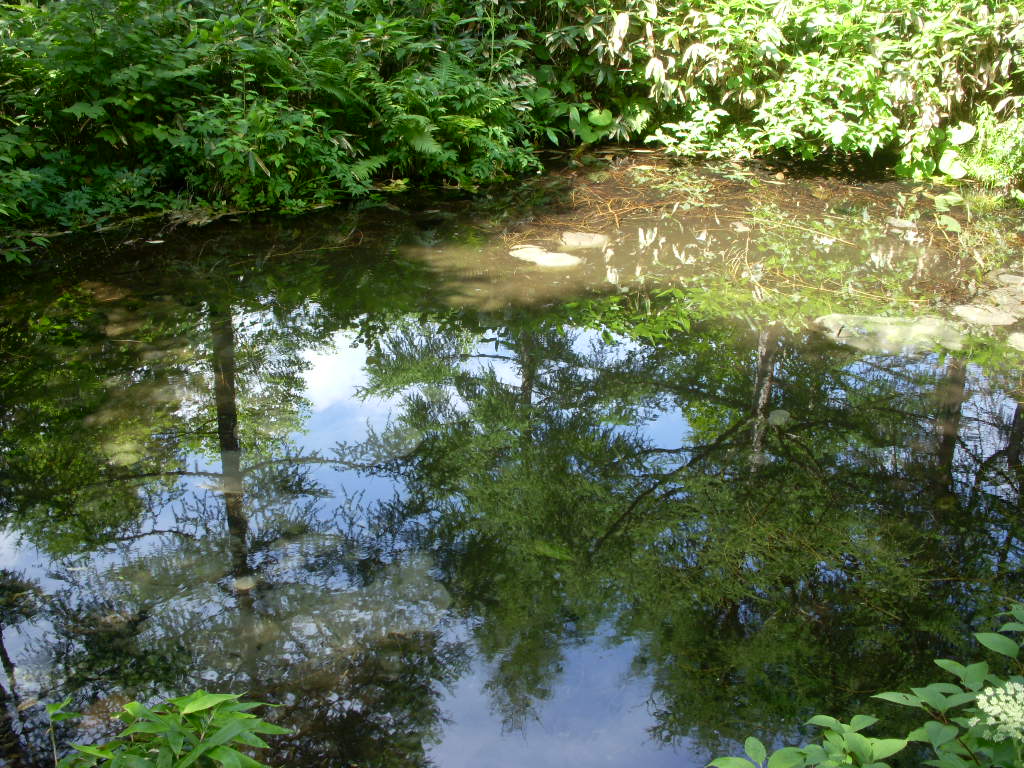 e0109622_2171782.jpg