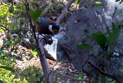 f0060424_19413575.jpg