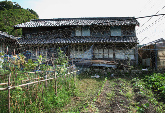 d0147530_5505440.jpg