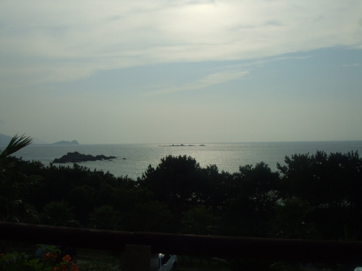 b0108732_11453072.jpg