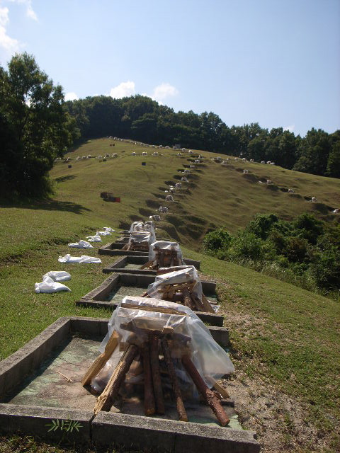 d0105133_22532318.jpg