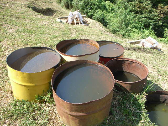 d0105133_2257418.jpg