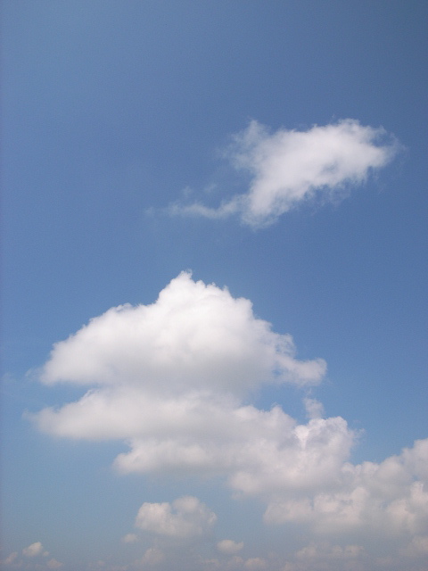 d0105133_232454.jpg