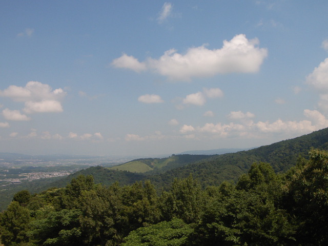 d0105133_2332422.jpg