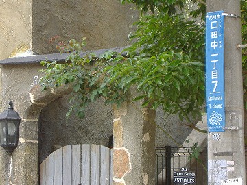 c0056437_234398.jpg