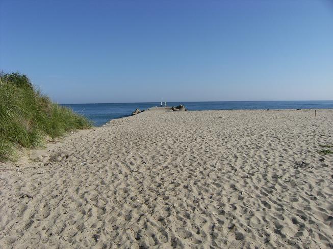 e0146340_1427995.jpg