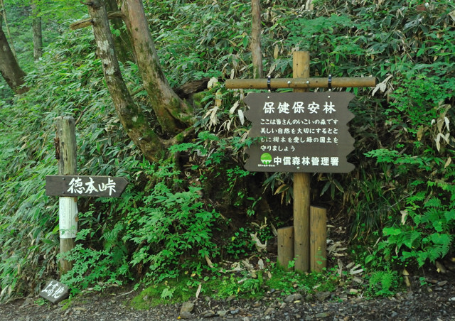 d0152544_1520105.jpg