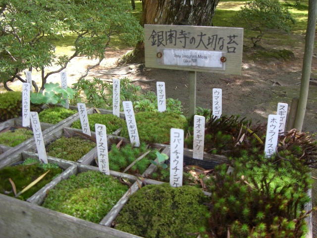 e0105846_934580.jpg