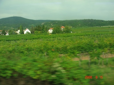 a0072247_21313066.jpg