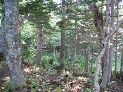 c0004750_15114616.jpg