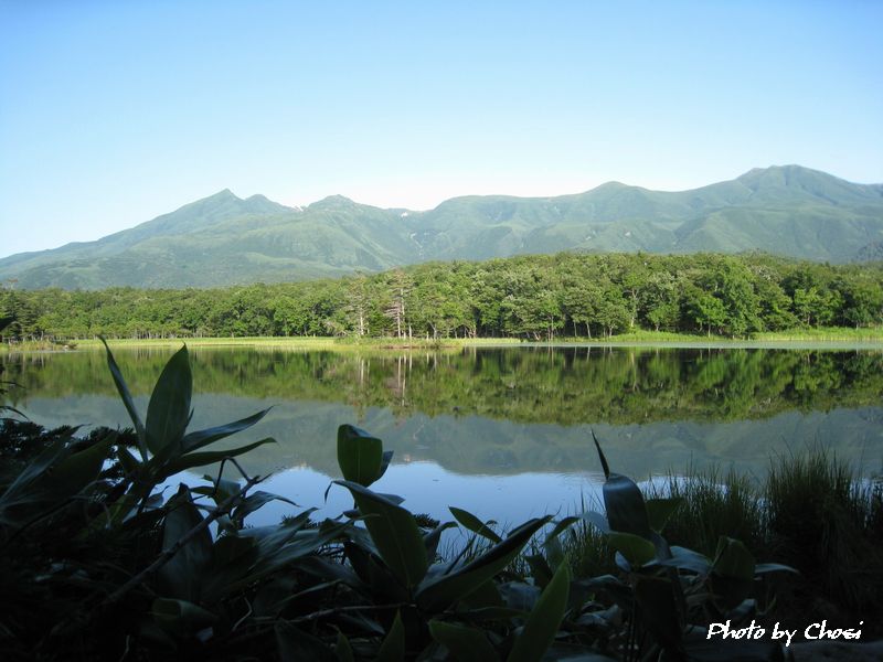 c0004750_1511473.jpg