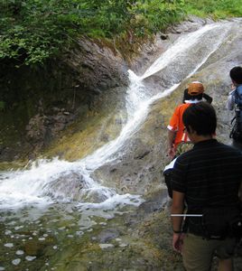 c0004750_1594840.jpg