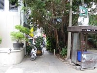 c0060651_12191787.jpg