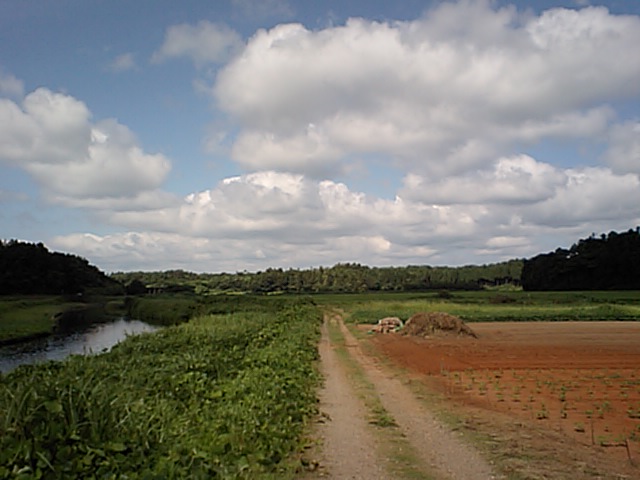 e0085052_1958225.jpg