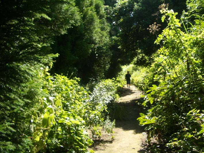 b0002156_23102573.jpg