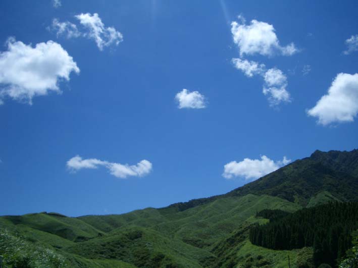 b0002156_23105637.jpg