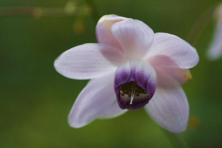 f0044056_145628100.jpg