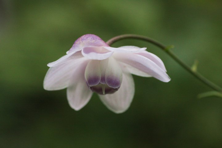 f0044056_14564475.jpg