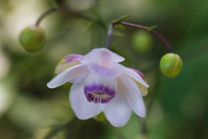 f0044056_14572978.jpg