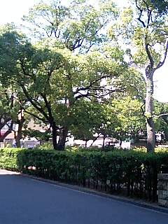 d0076760_1541539.jpg