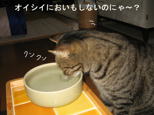 e0057361_194336.jpg