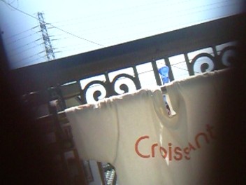 e0053365_20171555.jpg