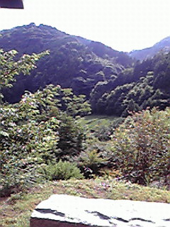 c0144868_1285085.jpg