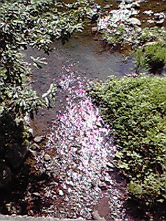 c0144868_1291868.jpg