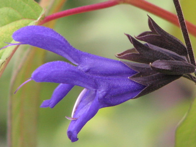 d0050472_124235100.jpg