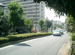 b0013376_17283520.jpg