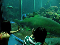 a0091577_23151270.jpg