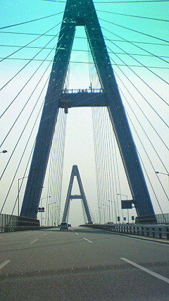 f0116278_16451724.jpg