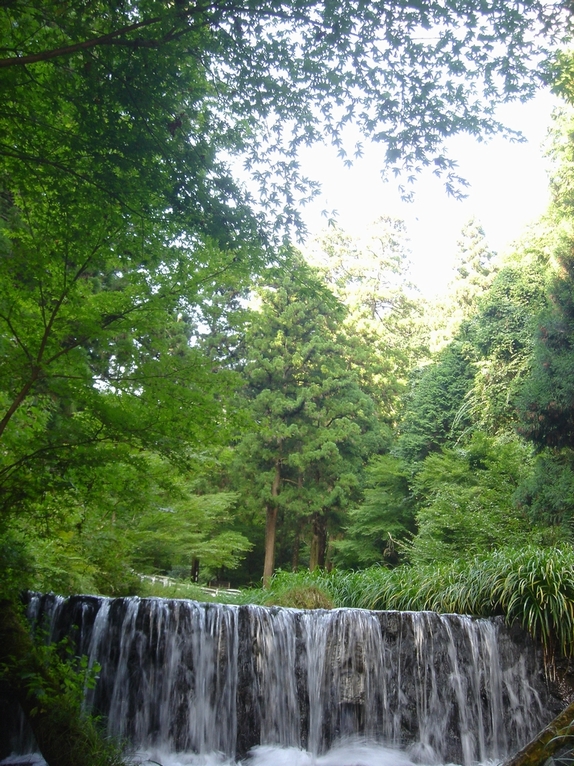 a0004180_2349571.jpg