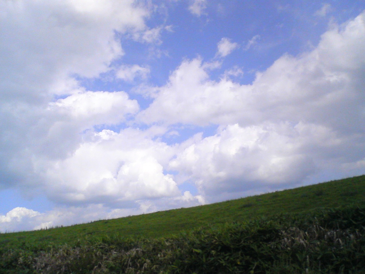 e0027681_0274910.jpg