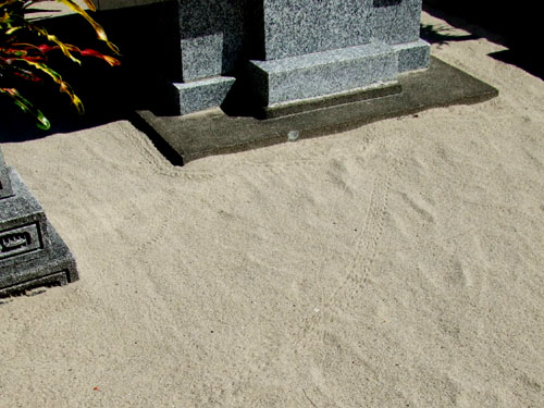 e0028387_21494532.jpg