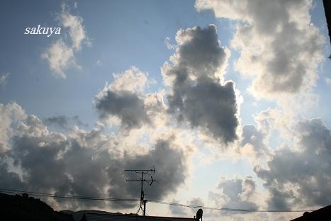 e0122194_18251829.jpg