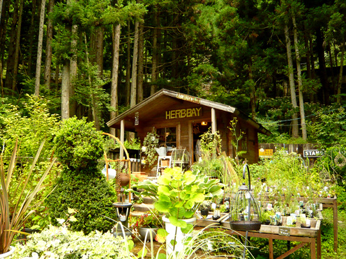 c0124998_10313986.jpg
