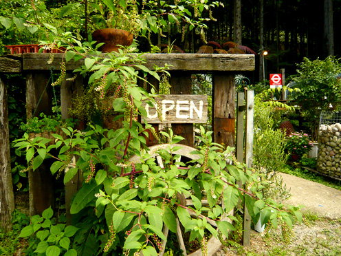 c0124998_1046362.jpg