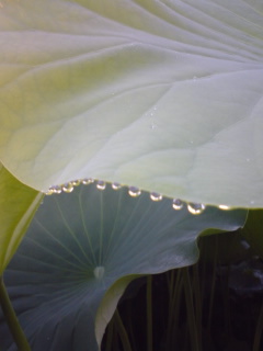 c0159398_21321693.jpg