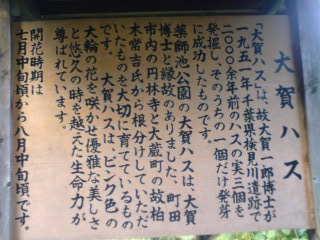 c0159398_2193366.jpg