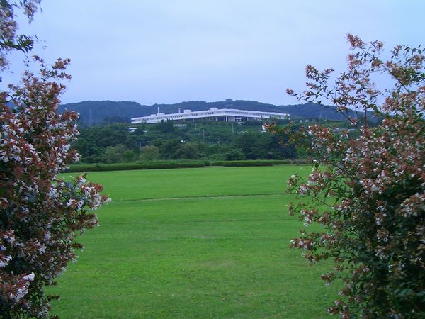 d0069498_2116510.jpg