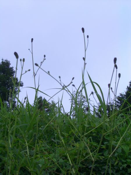 d0069498_2119547.jpg
