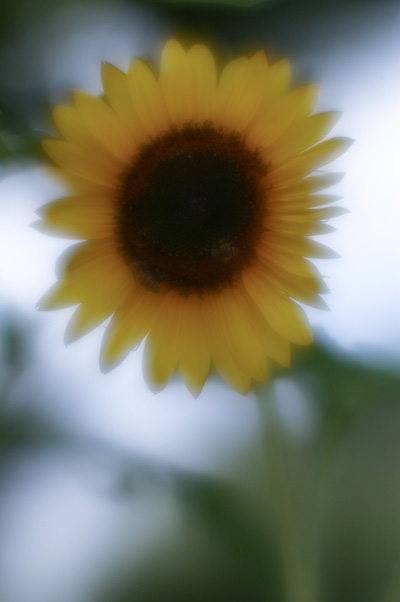 f0002801_1844334.jpg